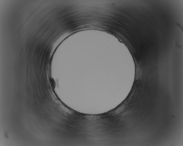 X0000103230812200809251303
