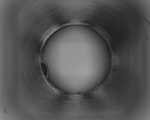 X0000103230813200809251303