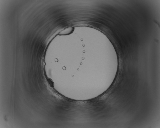 X0000103230814200809251303