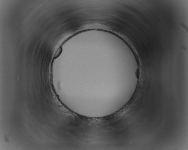 X0000103230815200809251302