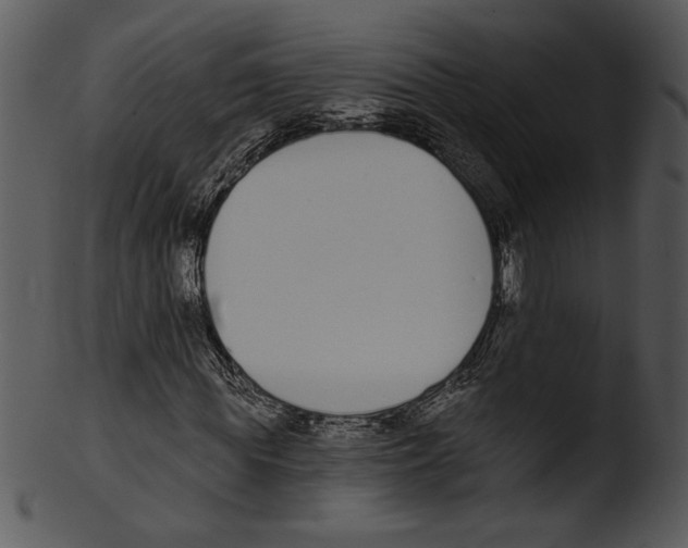 X0000103230819200809251302
