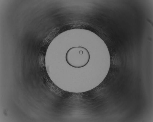 X0000103230820200809251302
