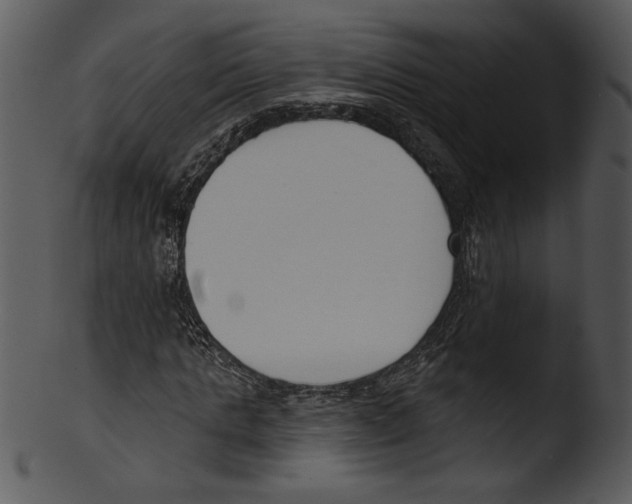 X0000103230821200809251302