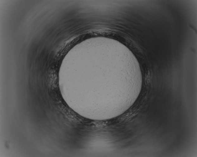 X0000103230822200809251302