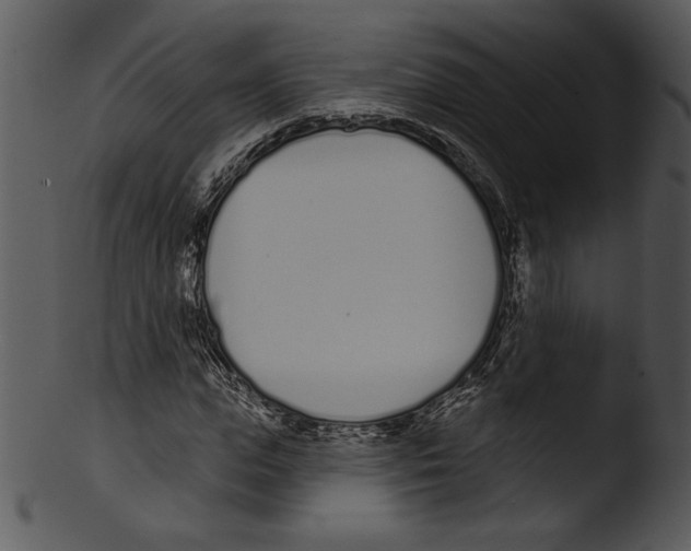 X0000103230823200809251302