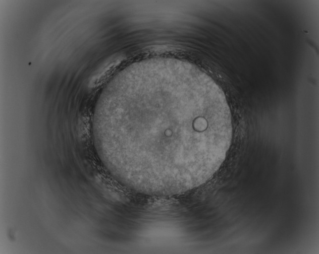 X0000103230824200809251302