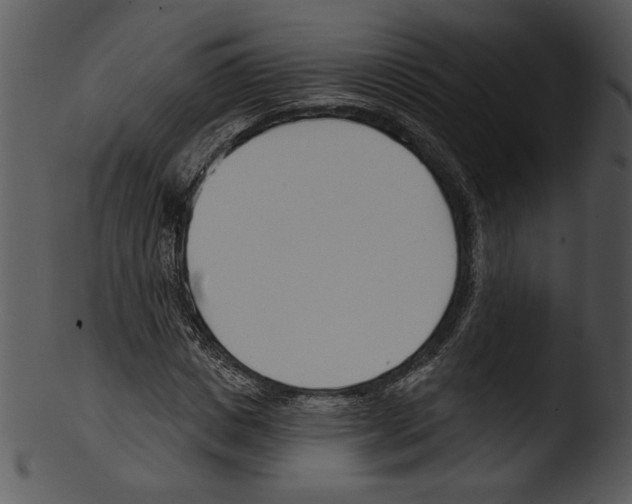 X0000103230825200809251302