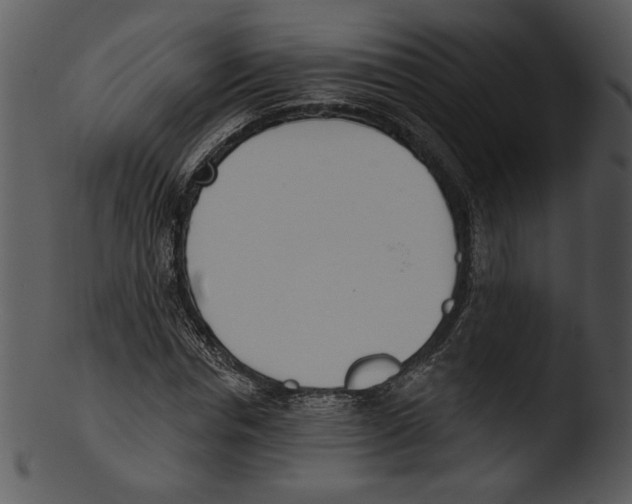 X0000103230826200809251302