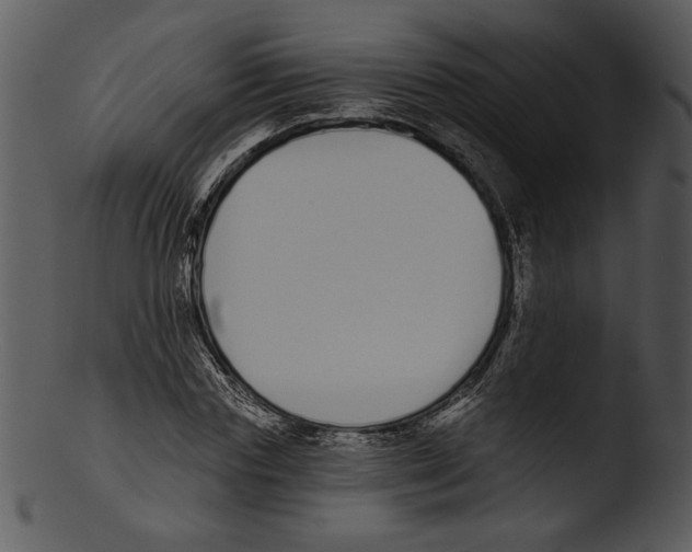 X0000103230827200809251302