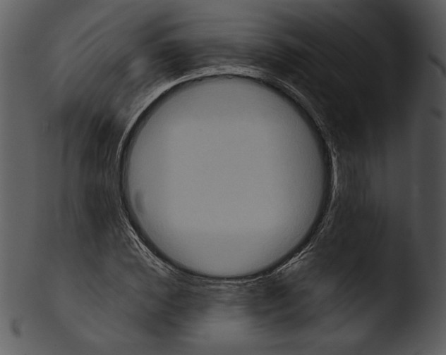 X0000103230828200809251302