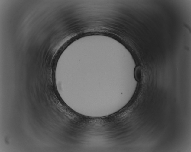 X0000103230830200809251302