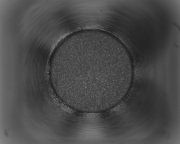 X0000103230832200809251302