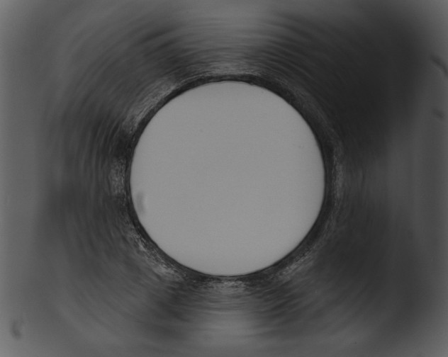 X0000103230833200809251302