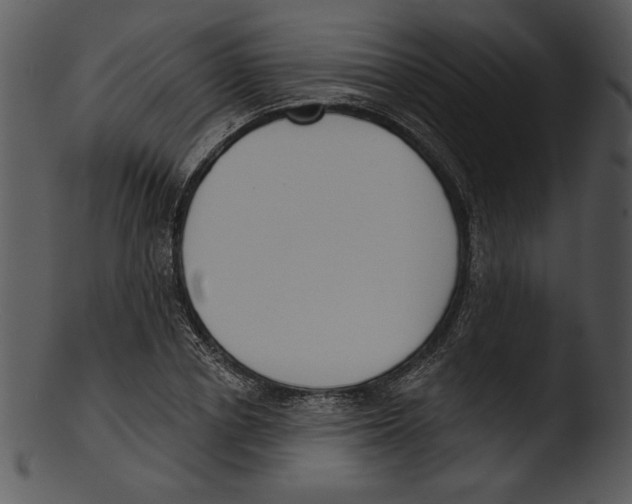 X0000103230834200809251302