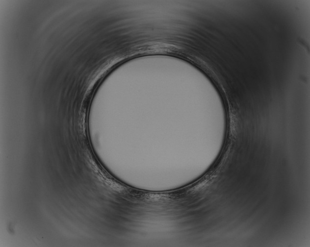 X0000103230835200809251302