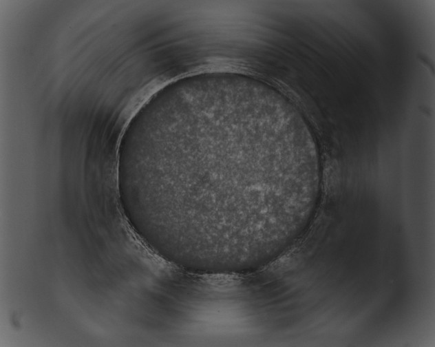 X0000103230836200809251302