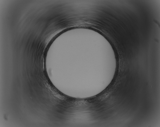 X0000103230838200809251302