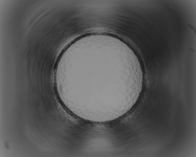 X0000103230839200809251302