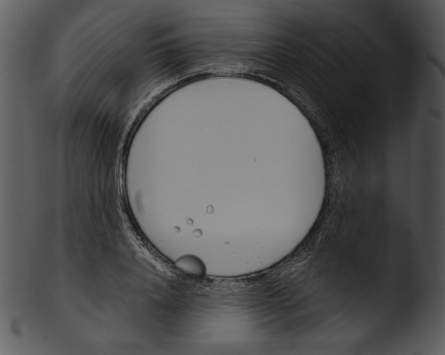 X0000103230840200809251302