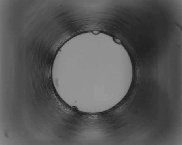 X0000103230841200809251302