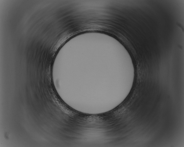 X0000103230842200809251302