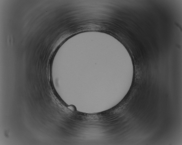X0000103230843200809251302