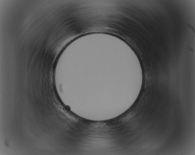 X0000103230846200809251302