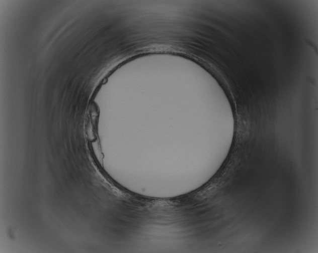 X0000103230847200809251302