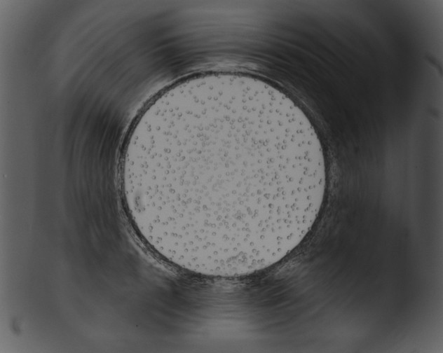 X0000103230848200809251302