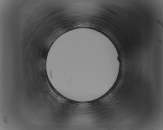 X0000103230849200809251302