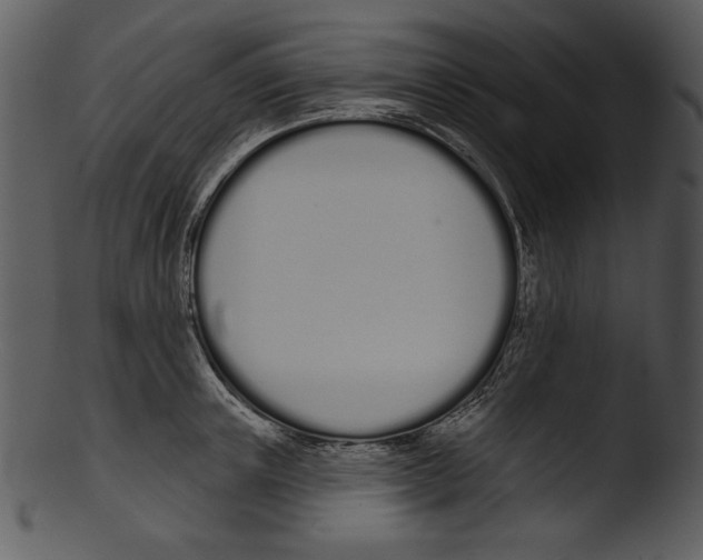 X0000103230851200809251302
