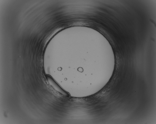 X0000103230852200809251302