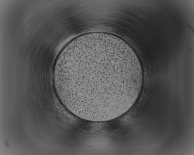 X0000103230854200809251302