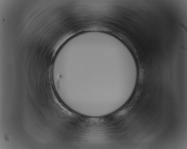 X0000103230855200809251302