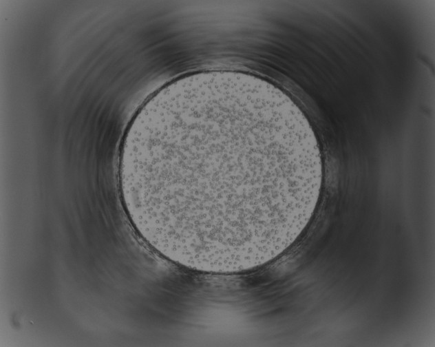 X0000103230856200809251302