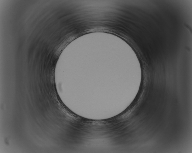 X0000103230857200809251302