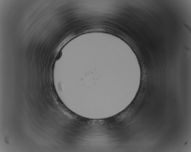 X0000103230858200809251302