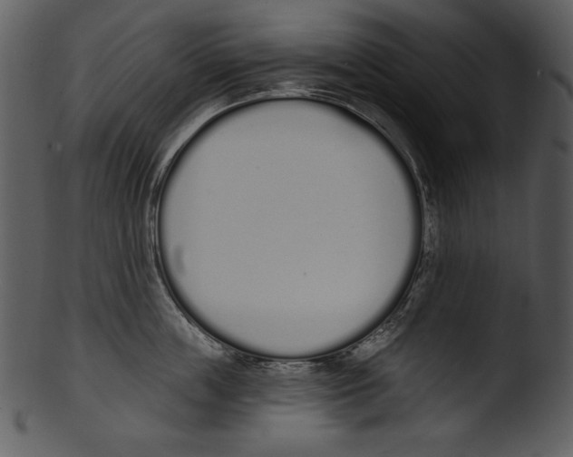 X0000103230859200809251302