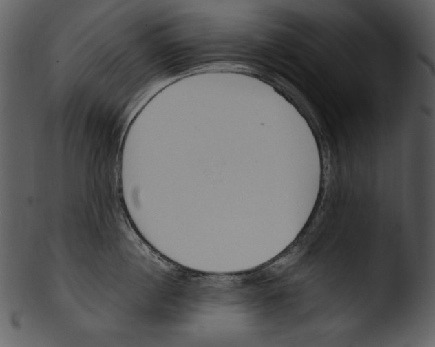 X0000103230860200809251302