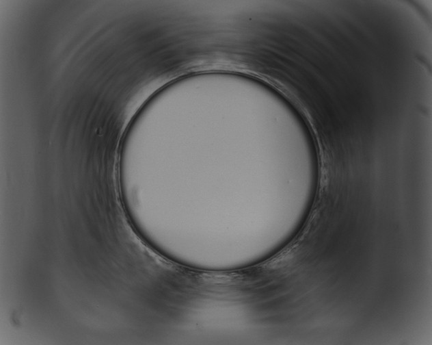 X0000103230863200809251302