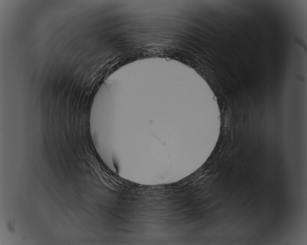 X0000103230868200809251302
