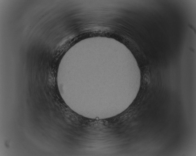 X0000103230869200809251302