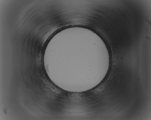 X0000103230875200809251302