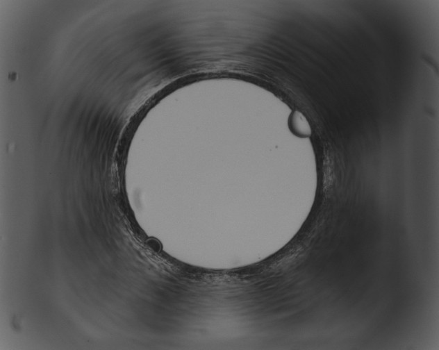 X0000103230876200809251302