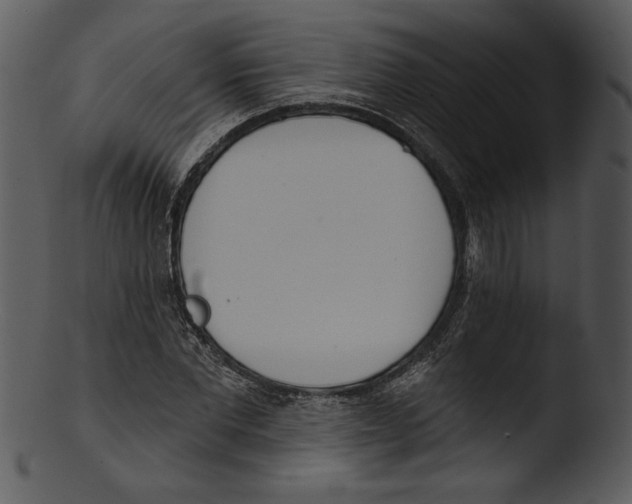 X0000103230877200809251302