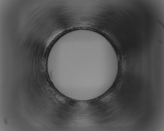 X0000103230878200809251302