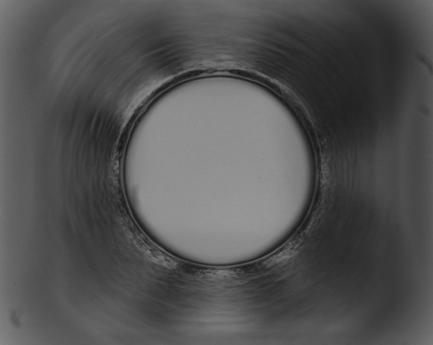 X0000103230879200809251302