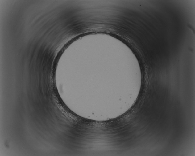 X0000103230880200809251302