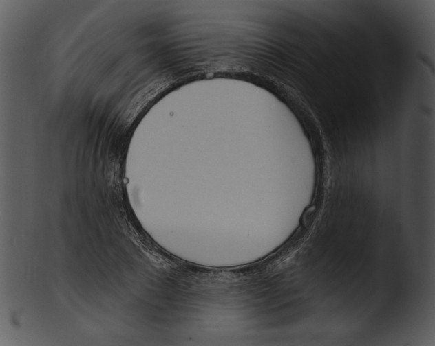 X0000103230881200809251302