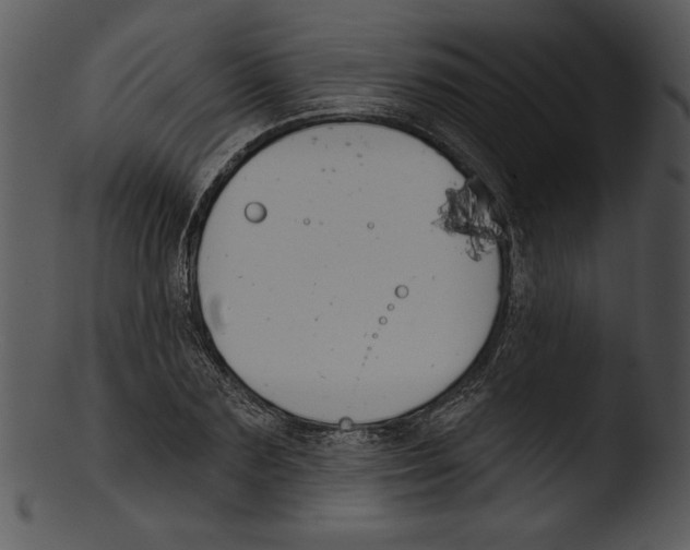 X0000103230883200809251302